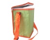 insulated lunch bags for adults