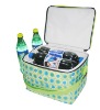 insulated lunch cooler bag