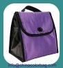 insulated lunch cooler bag