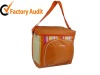 insulated lunch cooler bag