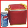 insulated lunch cooler bag