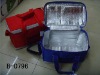 insulated lunch cooler bags