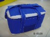 insulated lunch cooler bags