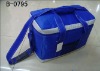 insulated lunch cooler bags