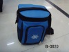 insulated lunch cooler bags