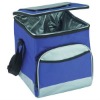 insulated polyester picnic cooler bag