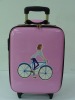 iron trolley case