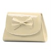 ladies evening bag