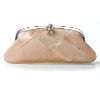 ladies fashion evening bag