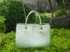 ladies fashion shopping bag