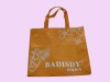 lady casual tote bags with green handle