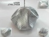 lady handbag