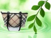 lady handbag
