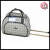 lady's Fashion luggage bag