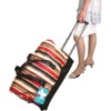 lady travel luggage,luggage bag