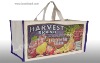 laminated canvas supermarket bag