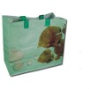 laminated non woven bag,pp non woven bag,silk screen non woven bag