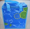 laminated non woven cooler bag