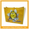 laminated pp bag