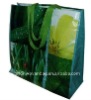 laminated pp non woven eco bag