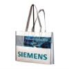 laminated pp woven bags(NV-E016)