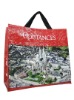 laminated pp woven shopping bag