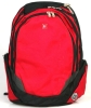 laptop backpack / computer backpack