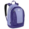 laptop backpack in purple