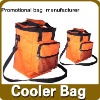 large capacity cooler bag