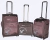 large capacity fashion trolley luggage case