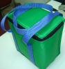 latest fashion promotional lunch cooler bag