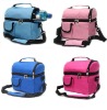 latest fashion promotional lunch cooler bag