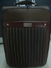 latest  nice luggage case