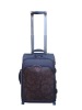 leather EVA trolley luggage