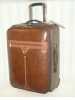 leather bag & trolley case& trolley bags