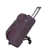 leisure travel trolley case