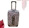 lovely fancy carry-on luggage bag for kids