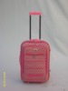 luggage bag/trolley bag