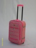 luggage & case bag