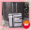 luggage,travel bag