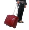 luggage,travel case,trolley case