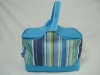 lunch box with cooler bag