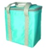 lunch cooler bag