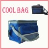 lunch  cooler  bag