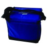 lunch cooler bag