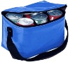 lunch cooler bag