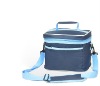 lunch cooler bag