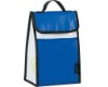 lunch cooler bag