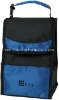 lunch tote, ice bag, cooler bag,outdoor bag,promotion bag,fashion bag