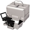 makeup train case